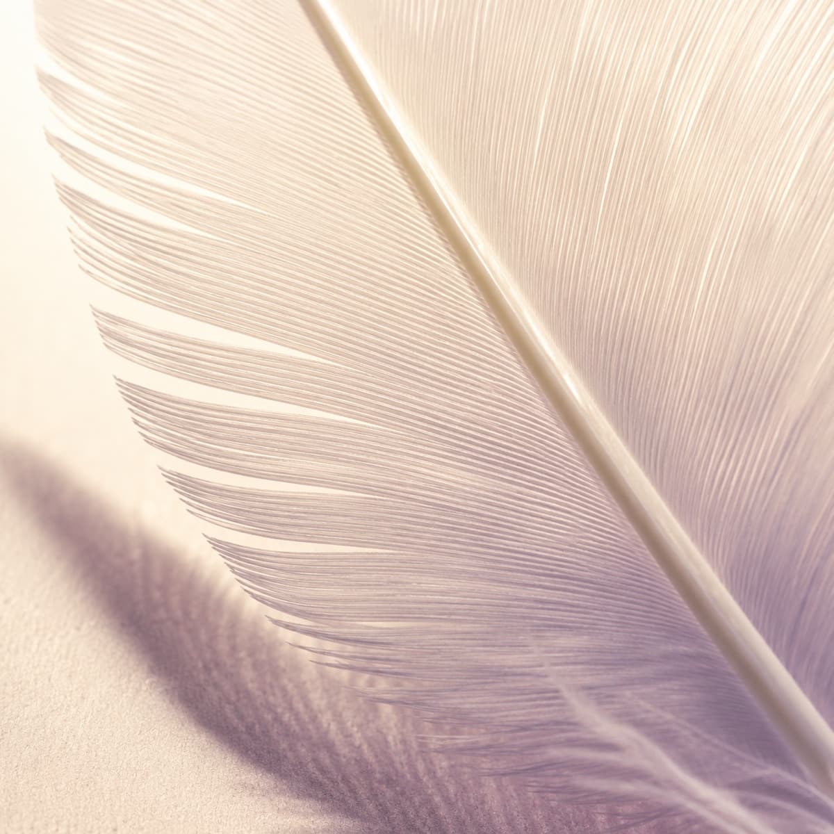 Macro photograph — Synthetic polyester feather
