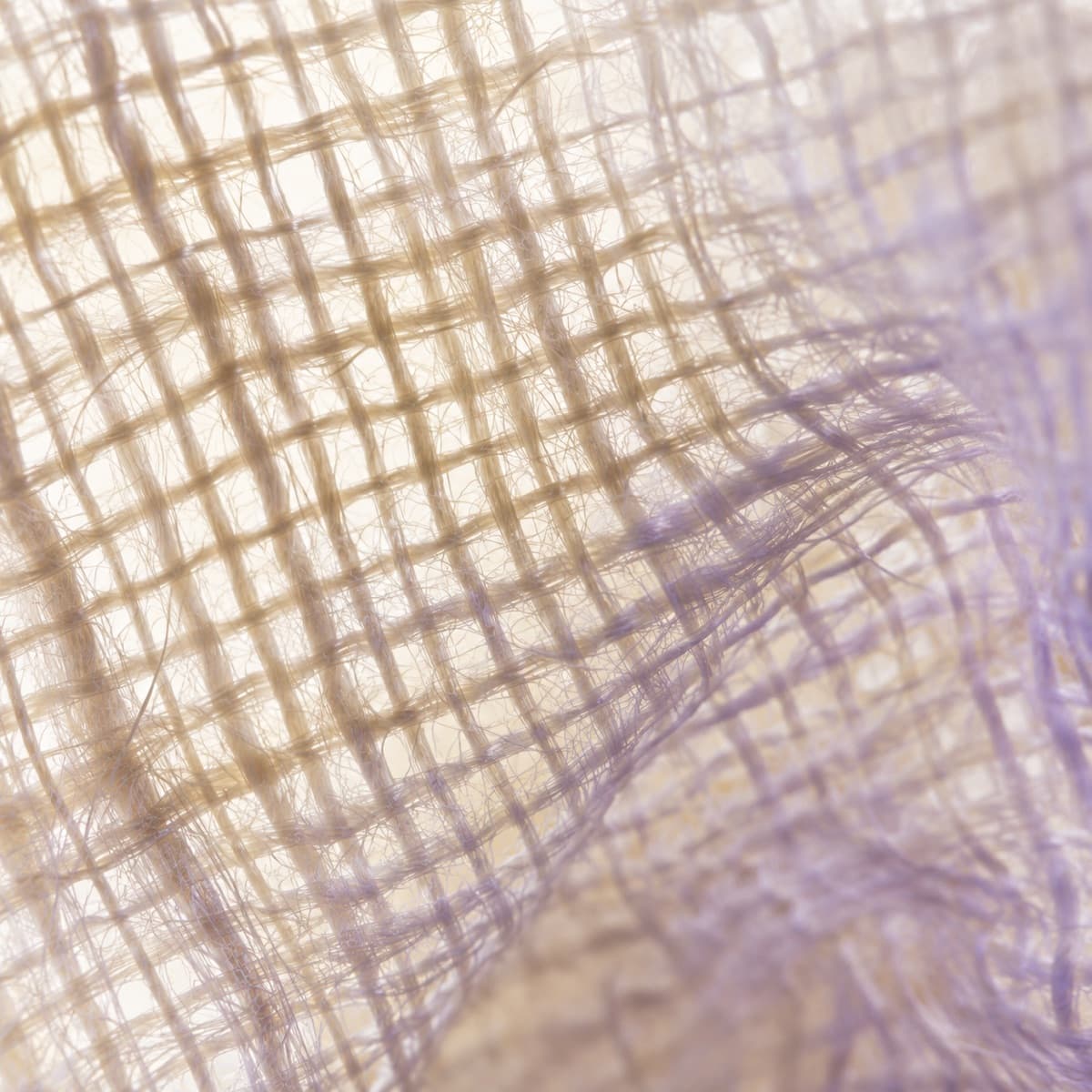 Macro photograph — Abaca sinamay