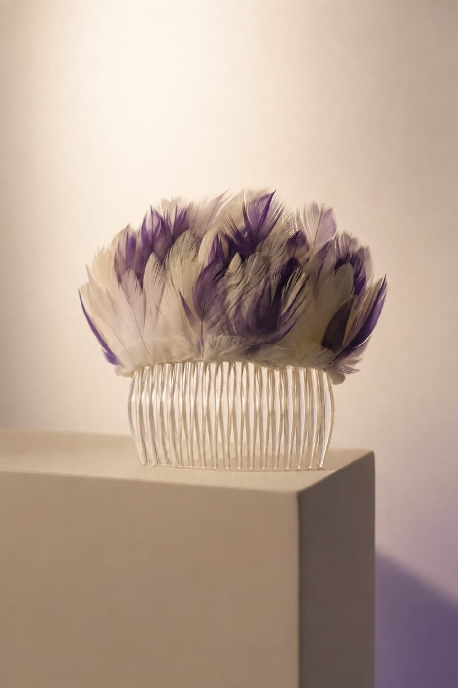 Comb Feather photographed whole against an ivory ground